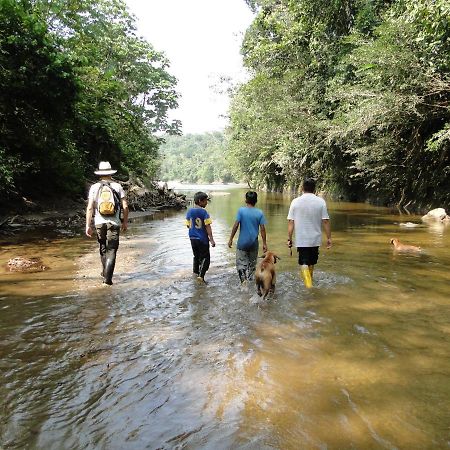 Grand Selva Lodge & Tours Tena Dış mekan fotoğraf