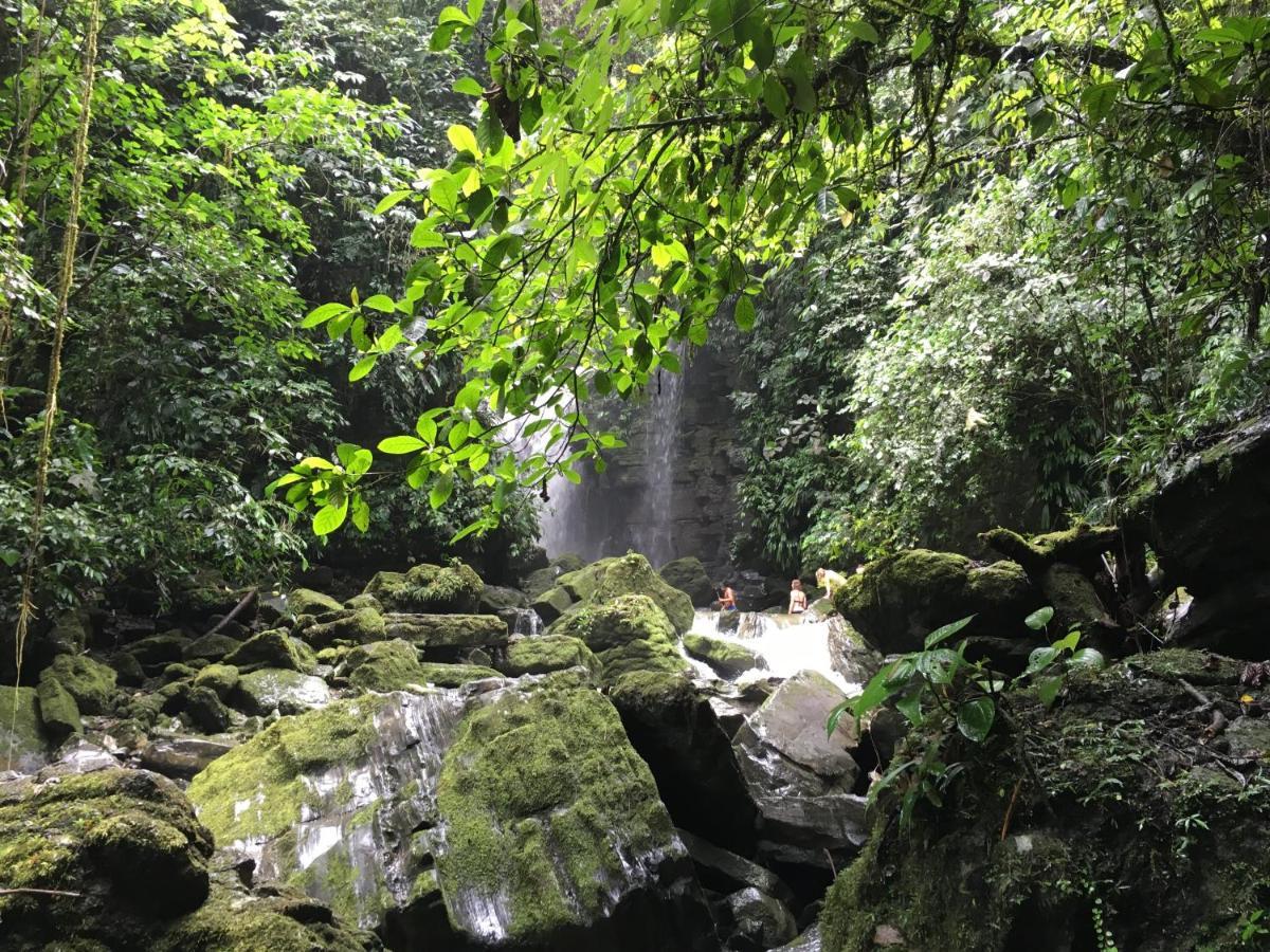 Grand Selva Lodge & Tours Tena Dış mekan fotoğraf
