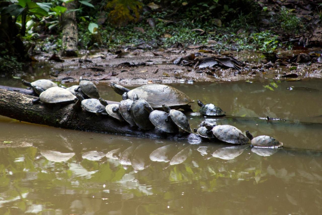 Grand Selva Lodge & Tours Tena Dış mekan fotoğraf