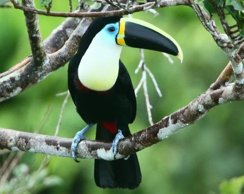 Grand Selva Lodge & Tours Tena Dış mekan fotoğraf
