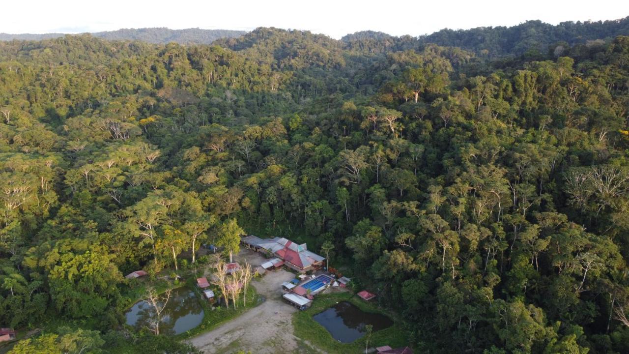 Grand Selva Lodge & Tours Tena Dış mekan fotoğraf