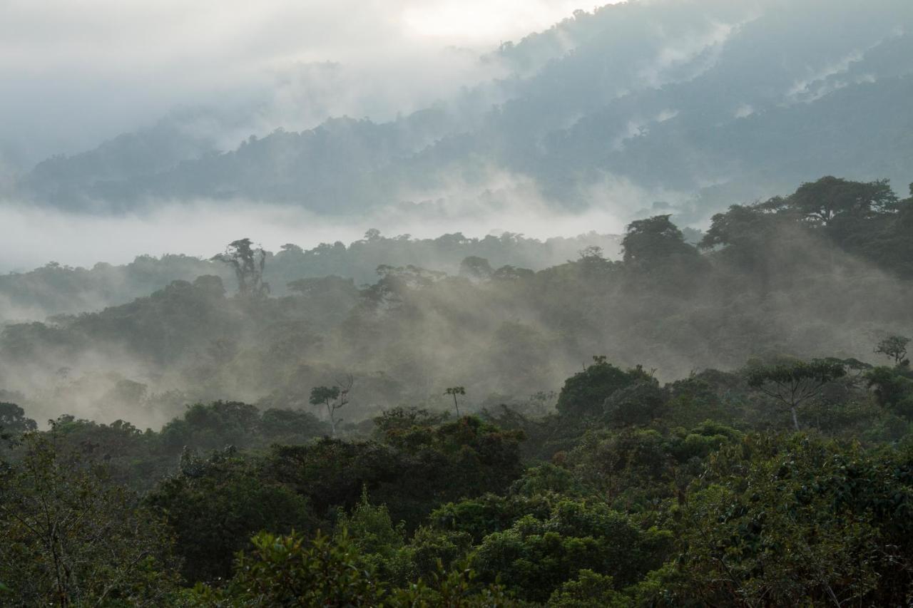 Grand Selva Lodge & Tours Tena Dış mekan fotoğraf