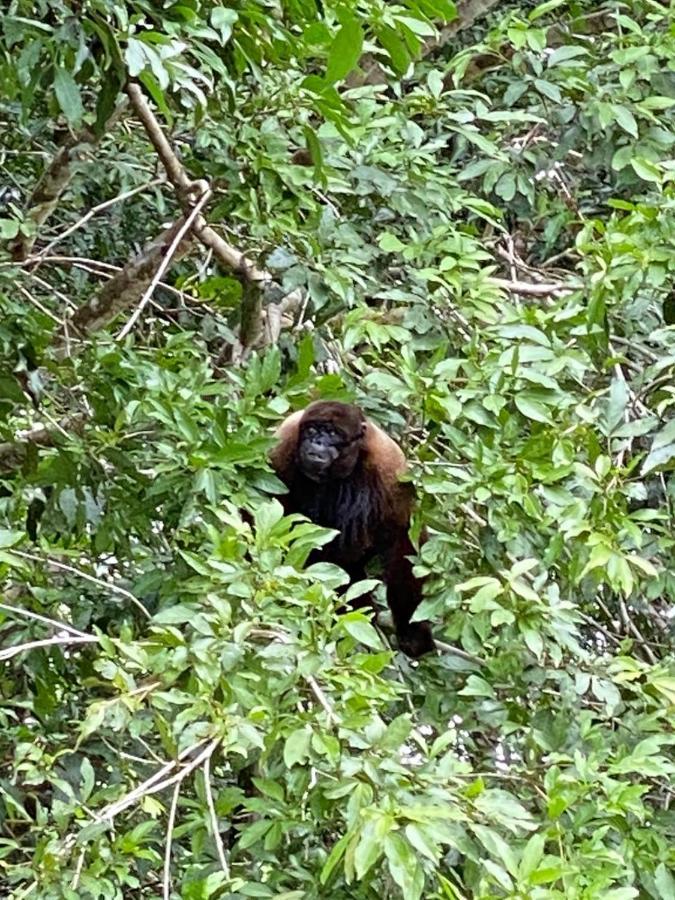 Grand Selva Lodge & Tours Tena Dış mekan fotoğraf